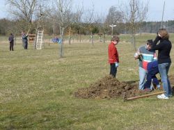 Baumschnittaktion  2010 02